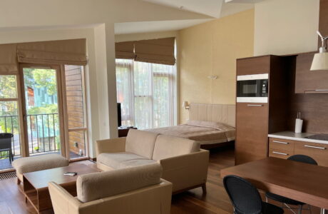 Prabangus Studio apartamentas su balkonu bei masažine vonia (3 aukštas)